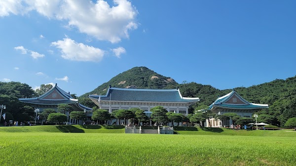 Cherry Blossom 🌸 22