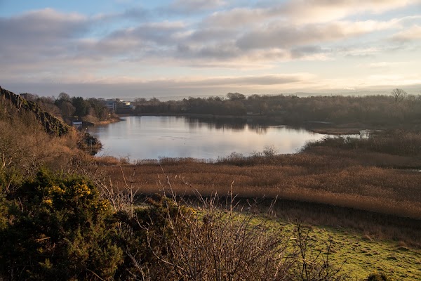 Duddingston Loch