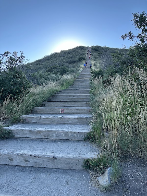 Challenge Hill and Trails at Philip S. Miller Park 1