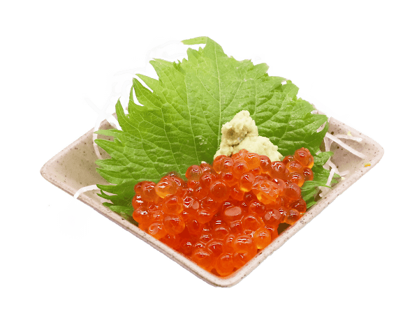 Ginhachi 5