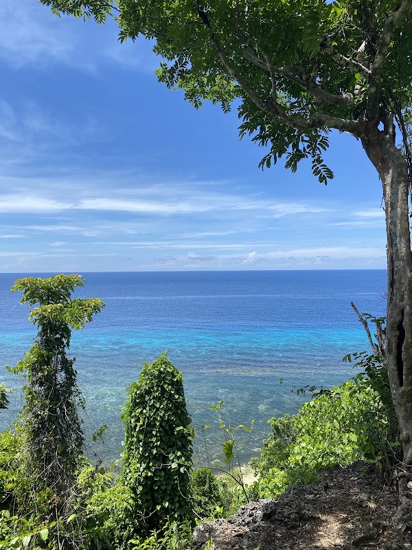 Monkey Beach 4
