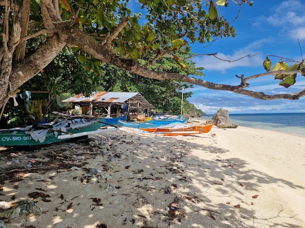 Monkey Beach 3
