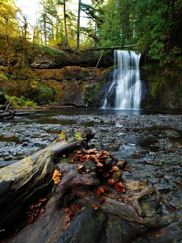 Upper North Falls 1