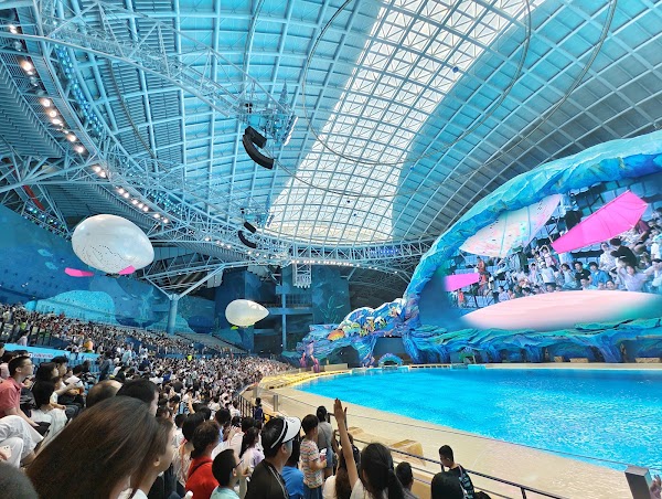 Chimelong Ocean Kingdom 4