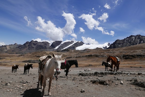 Vinicunca Rainbow Mountain 5