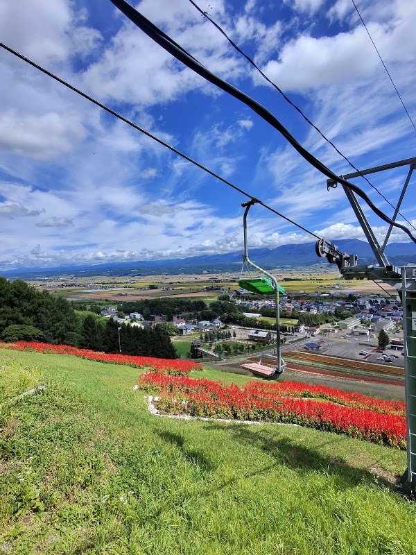Nakafurano Hokuseiyama Lavender Fields 3