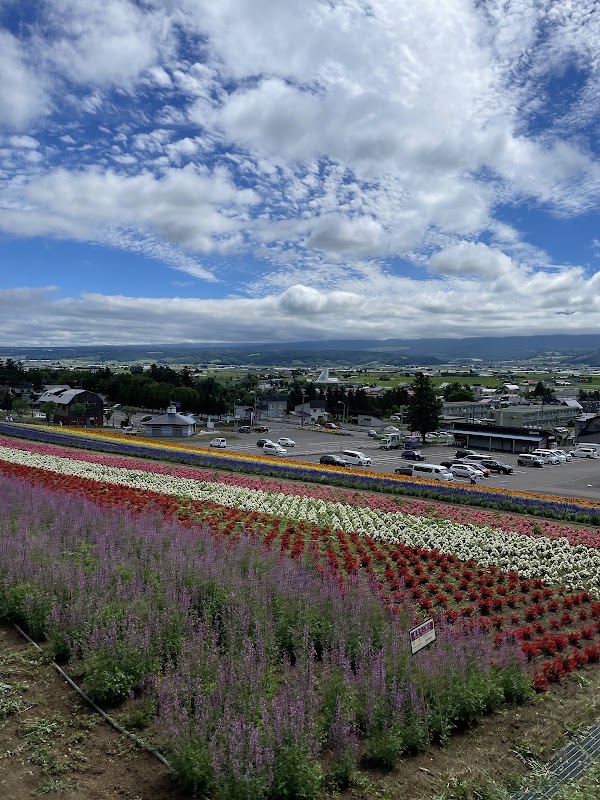 Nakafurano Hokuseiyama Lavender Fields 2
