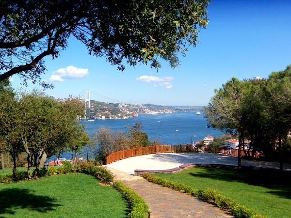 Fethipaşa Korusu 5