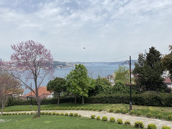 Fethipaşa Korusu 4