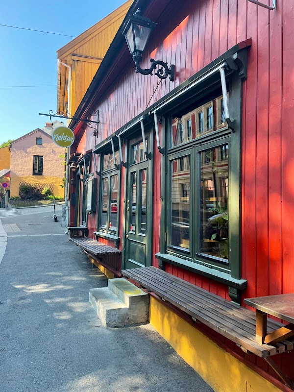Nektar Vinbar