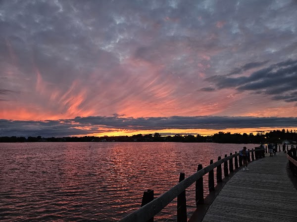 Lake Wilcox Park 4