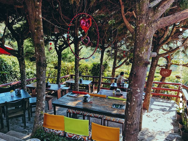 Café Albania