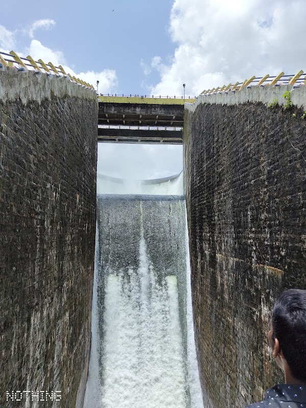 Salaulim Dam 3