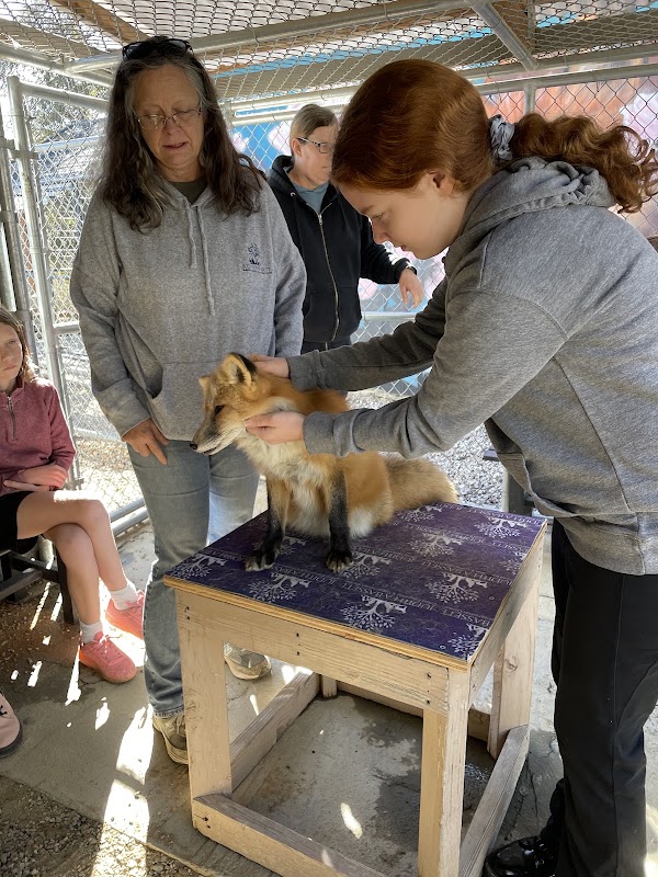 Judith A Bassett Canid Education & Conservation Center 4