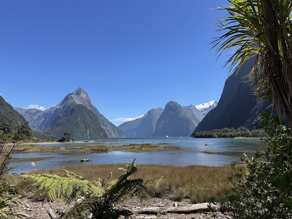 Milford Sound Visitor Terminal