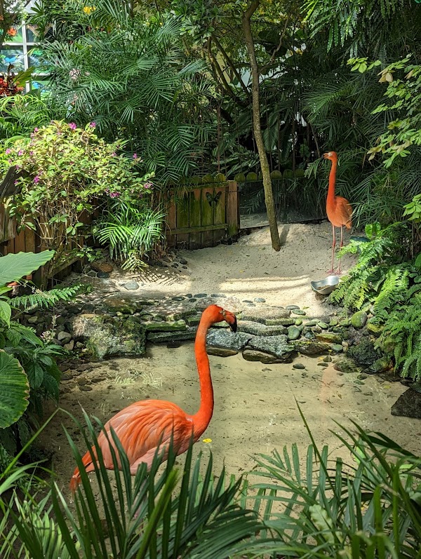 The Key West Butterfly and Nature Conservatory