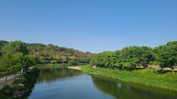 담양 관방제림 5