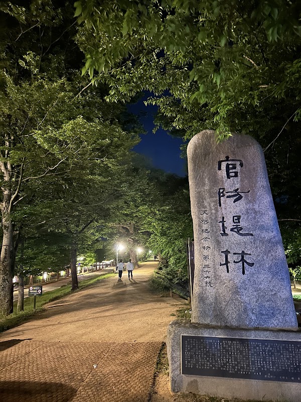 담양 관방제림 2