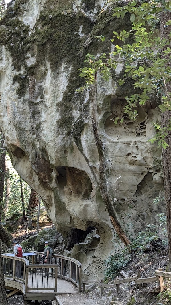El Corte de Madera Creek Open Space Preserve 1