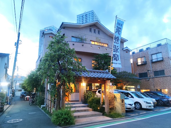 Musashi Koyama Onsen Shimizu Yu 3