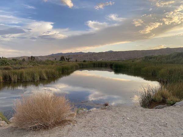 Big Bend of the Colorado State Recreation Area 3