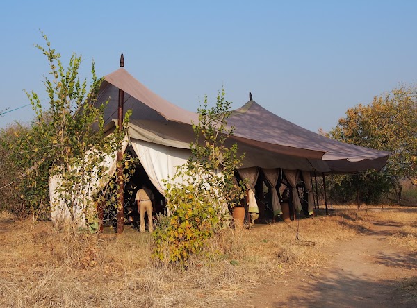 Kokoko Camp