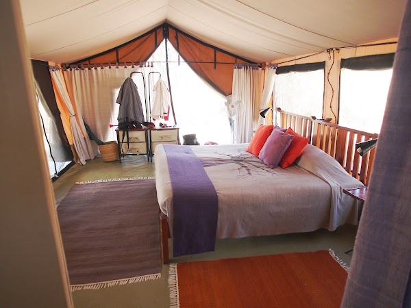 Kokoko Camp 5