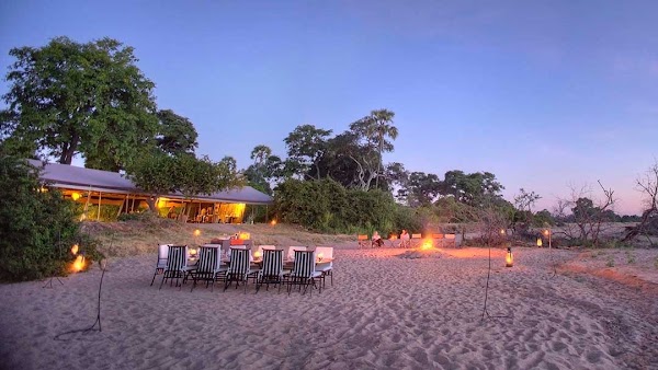 Kokoko Camp 4