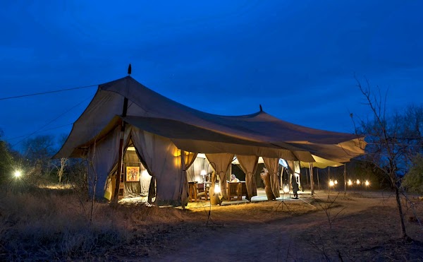 Kokoko Camp 3