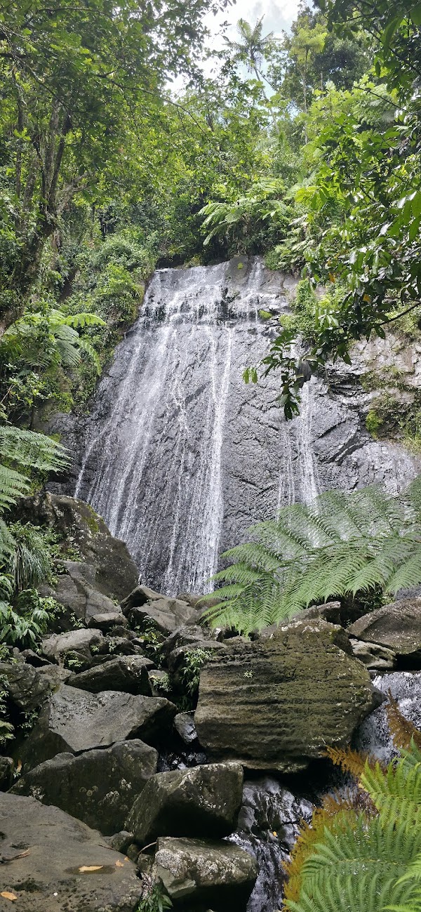 El Yunque