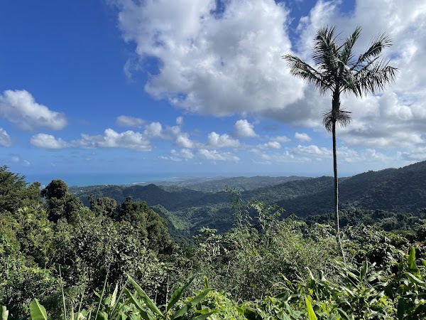 El Yunque 5