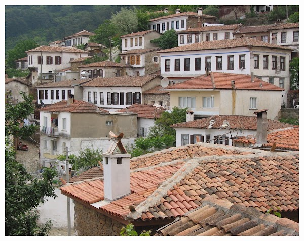 Şirince 5