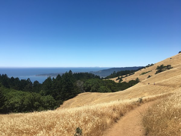 Matt Davis Trail