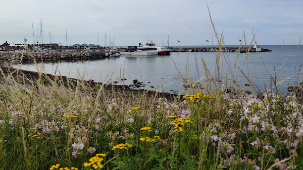 Mölle 2