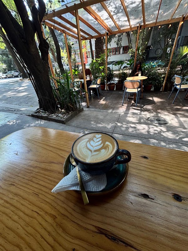 Café Tierra Azul 2