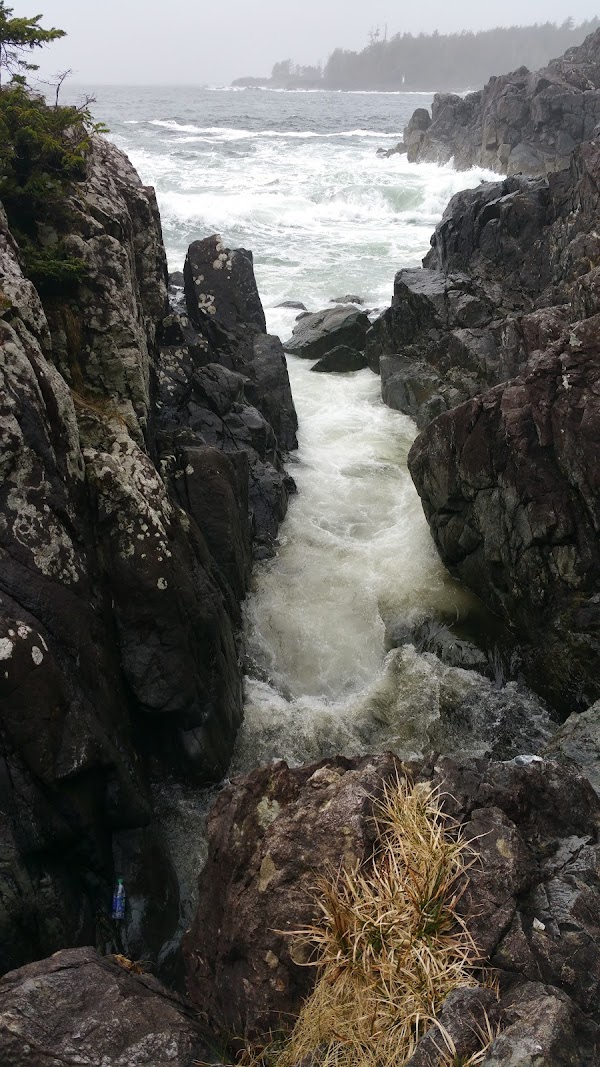 Hot Springs Cove 1