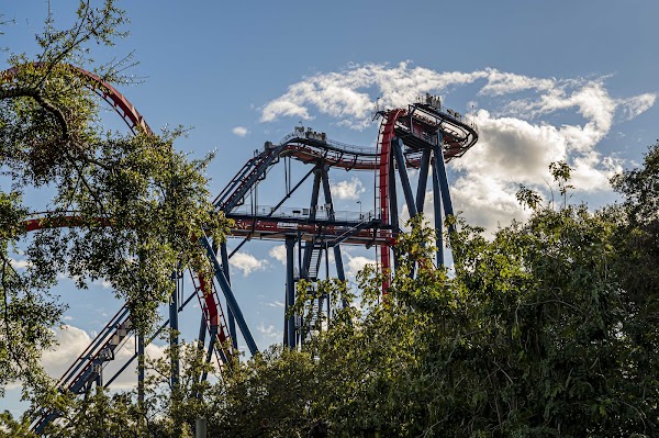 Busch Gardens Tampa Bay 2