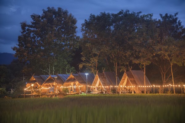 Paddy Fields Haven - Natures Nest Pai