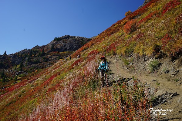 Yellow Aster Butte