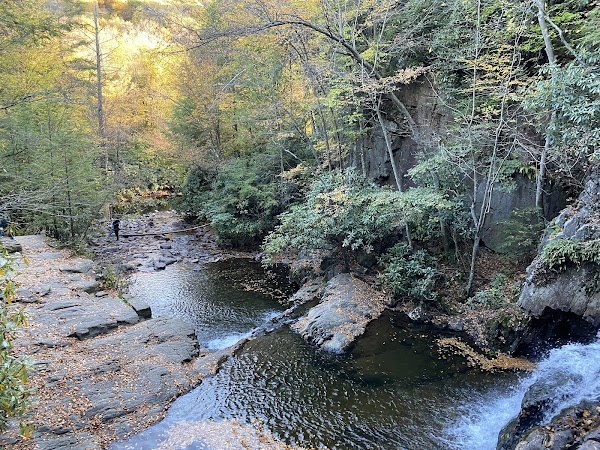 Hawk Falls 4