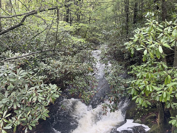 Hawk Falls 2