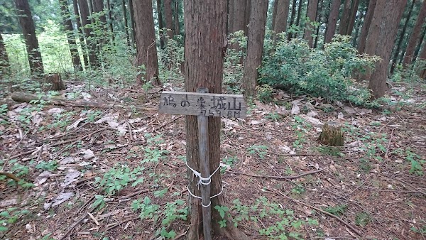 Mt. Hatonosu Shiroyama