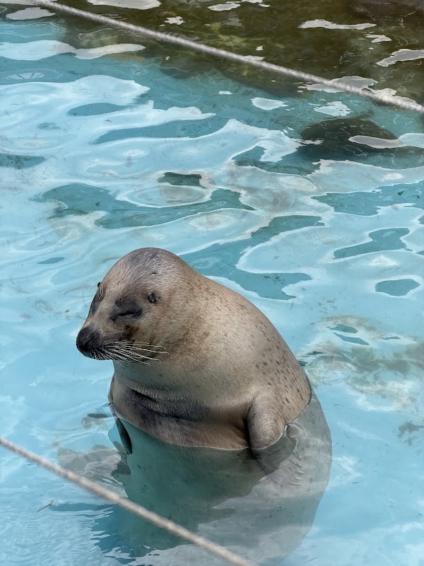 Otaru Aquarium 5