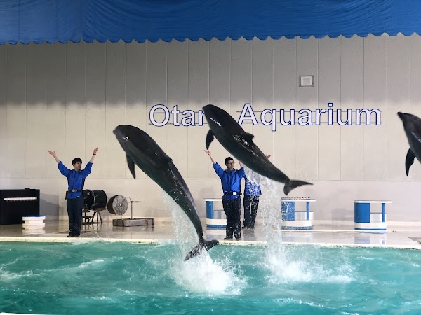 Otaru Aquarium 3