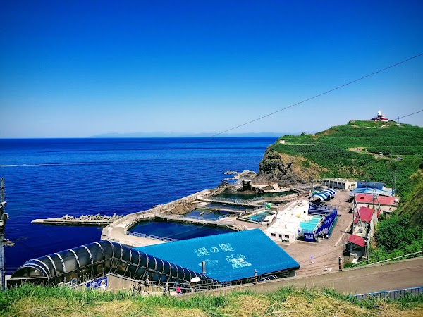 Otaru Aquarium 2