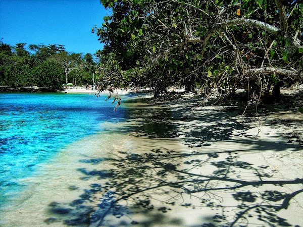 Negril 5