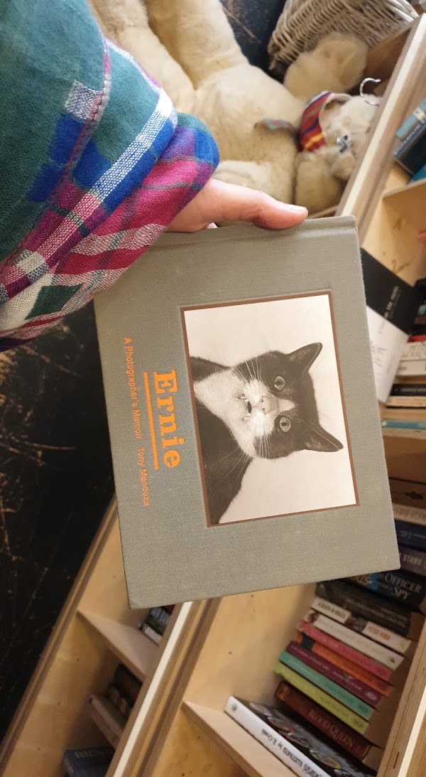 Fara Charity Shop - Islington 2