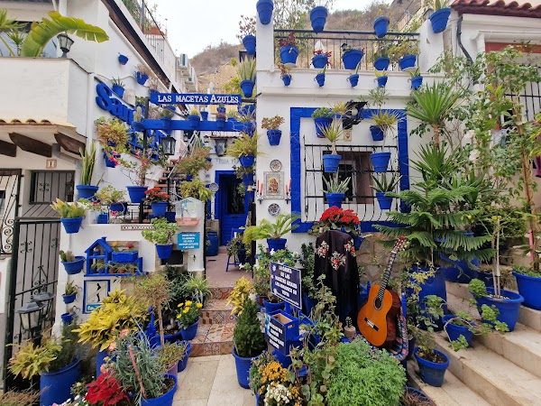 La casita de las macetas azules