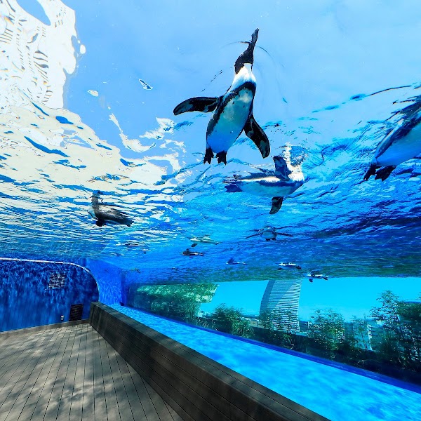 Sunshine Aquarium 5