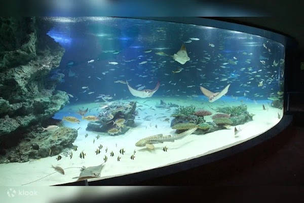 Sunshine Aquarium 4
